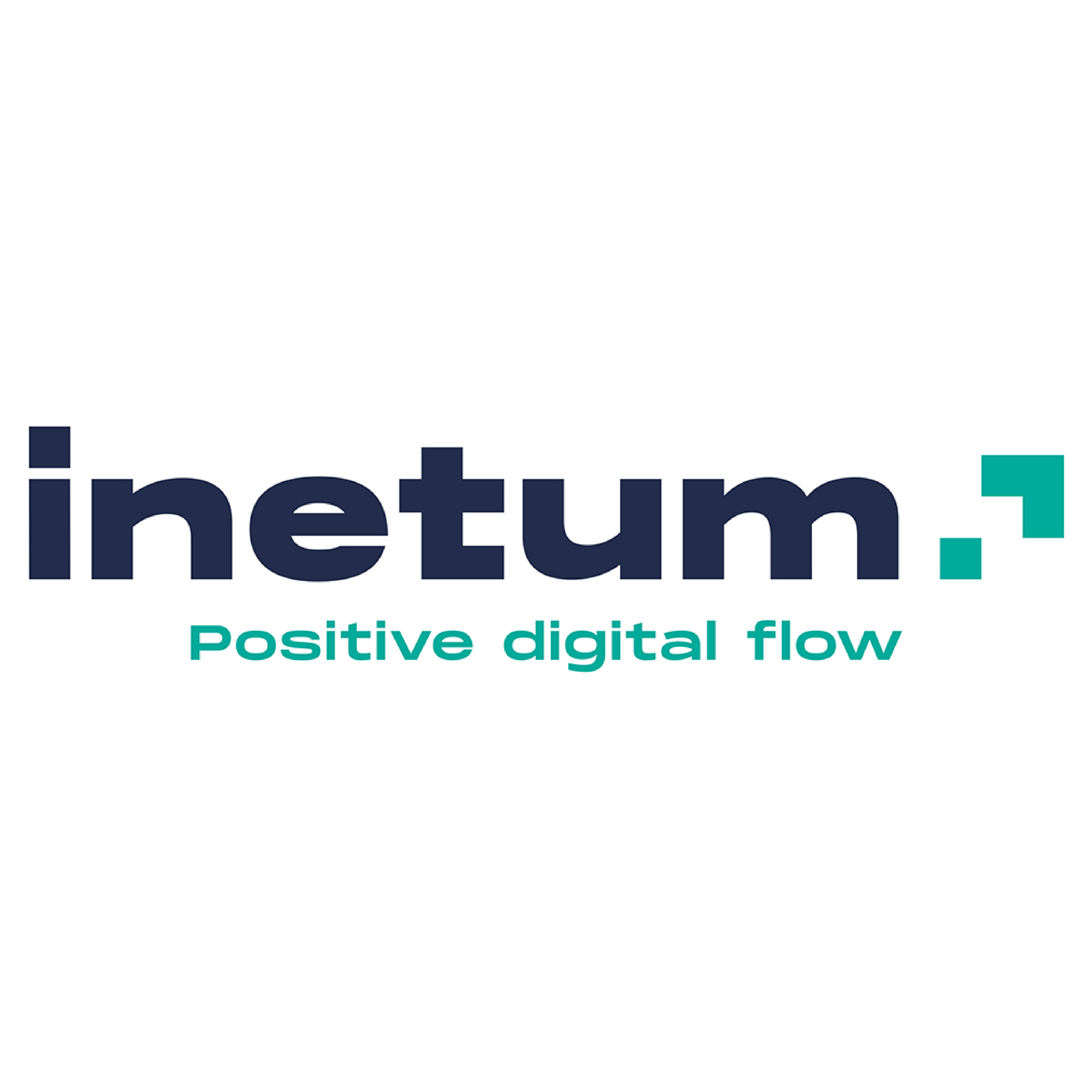 Inetum Positive digital flow