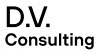 dv consulting